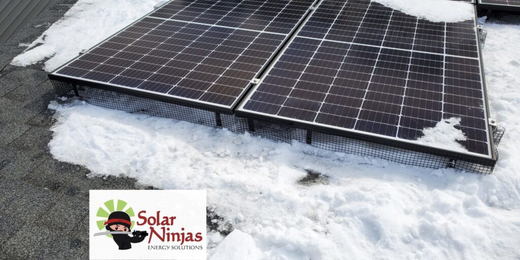 critter guard on solar panels in alberta