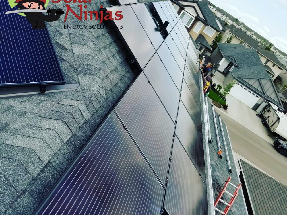 IMG_20180604_072752_795_WM